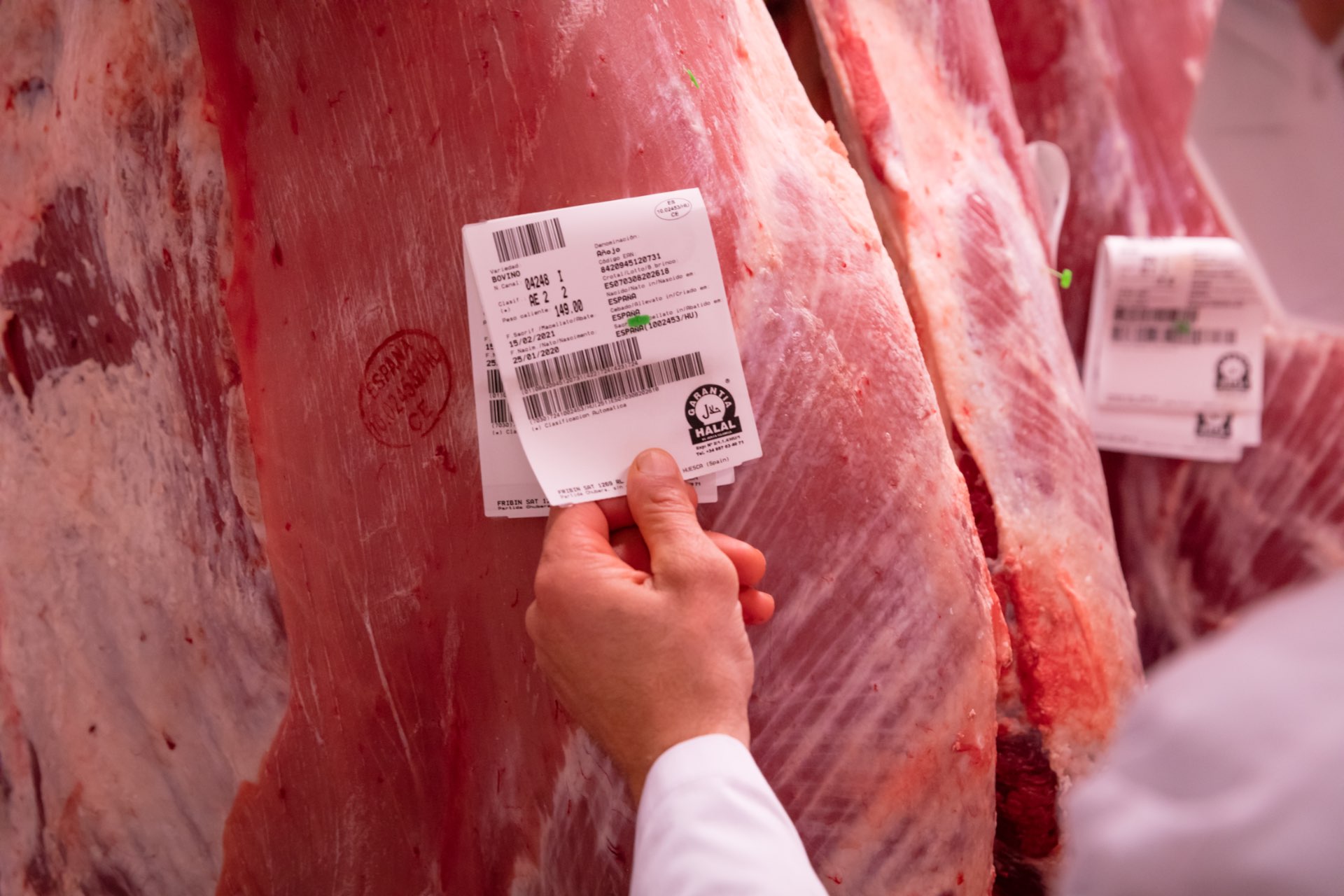 Carne Halal Mallorca
