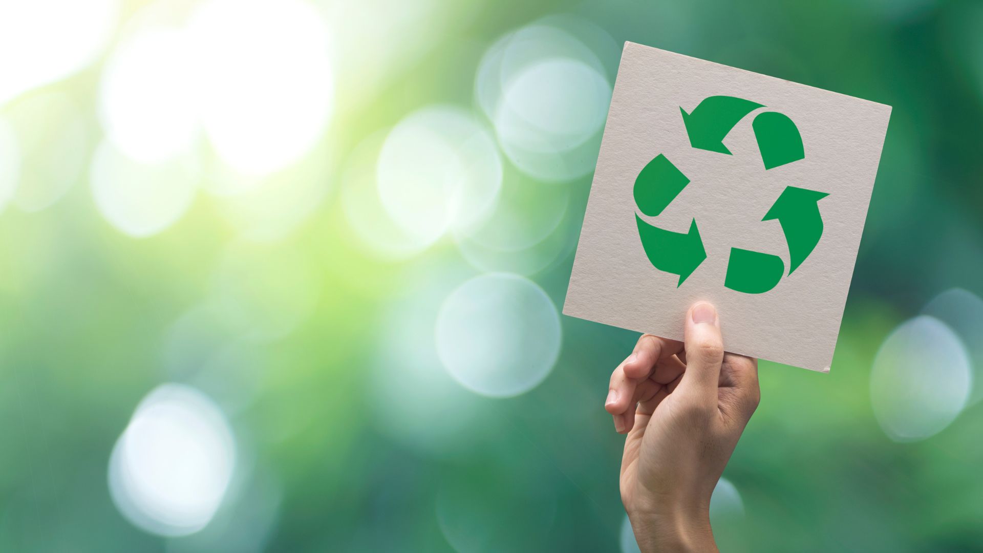 Premi Mercapalma a les bones pràctiques de reciclatge